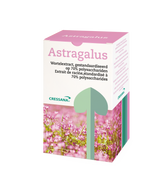 Astragalus Cressana® Nederland