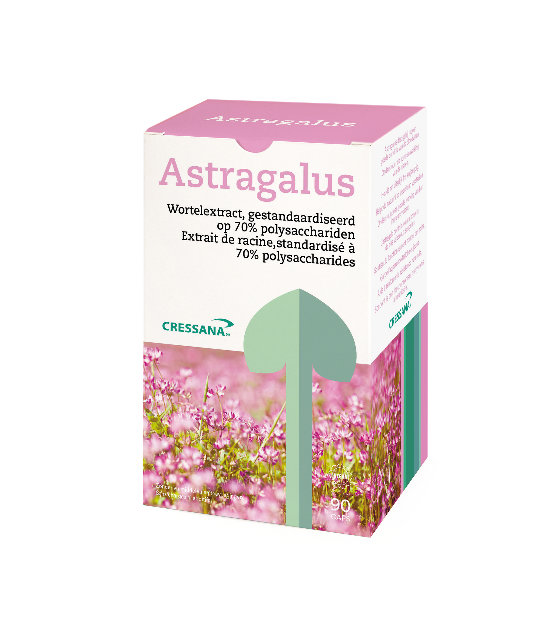 Astragalus Cressana® Nederland